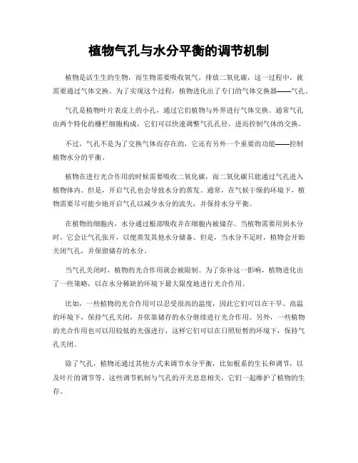 植物气孔与水分平衡的调节机制