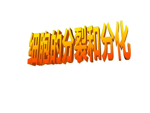 苏科版七年级下册生物 细胞的分裂和分化 课件(共34张 ) 含动画