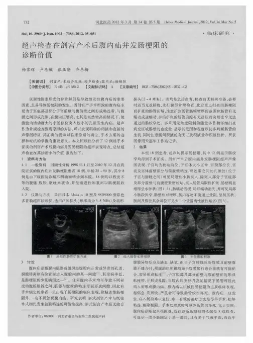 超声检查在剖宫产术后腹内疝并发肠梗阻的诊断价值