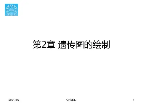 遗传图绘制PPT课件