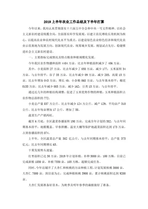 工作总结-2019上半年农业工作总结及下半年打算 精品