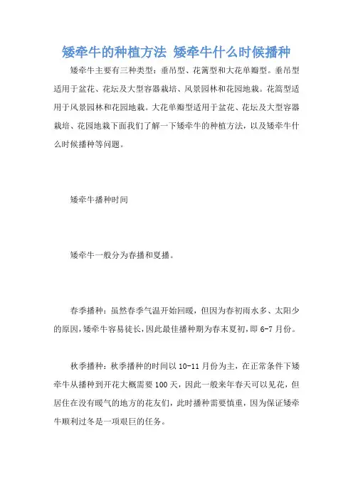 矮牵牛的种植方法 矮牵牛什么时候播种