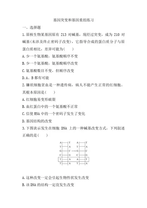 基因突变和基因重组 练习-高一下学期生物人教版必修二