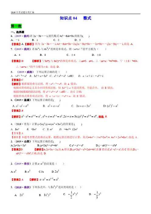 2019年中考数学分类汇编一知识点04  整式(PDF解析版)