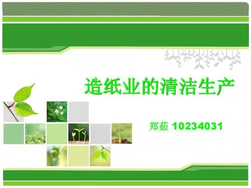 造纸业的清洁生产