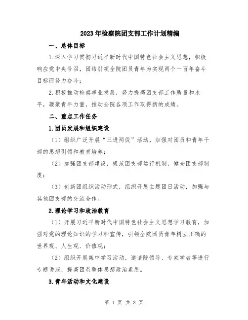 2023年检察院团支部工作计划精编