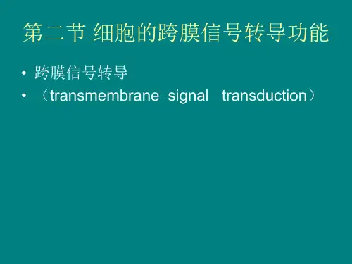 细胞的信号转导