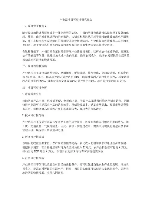 产业路项目可行性研究报告