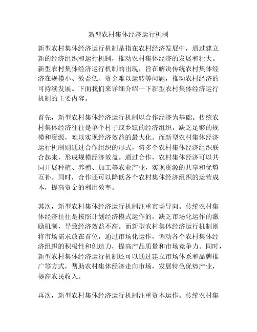 新型农村集体经济运行机制