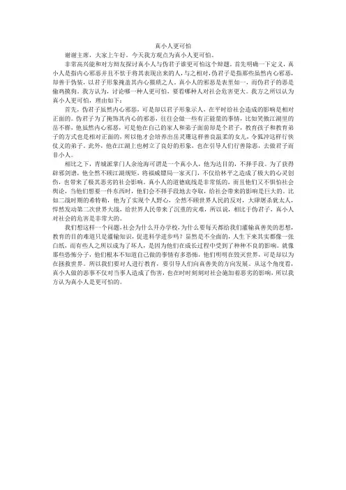 真小人更可怕一辩稿