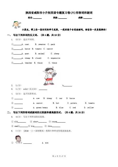 陕西省咸阳市小升初英语专题复习卷(六)形容词和副词