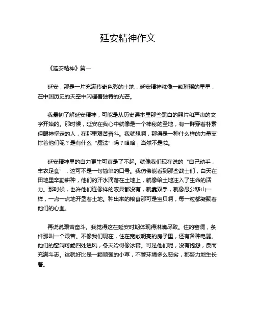 廷安精神作文