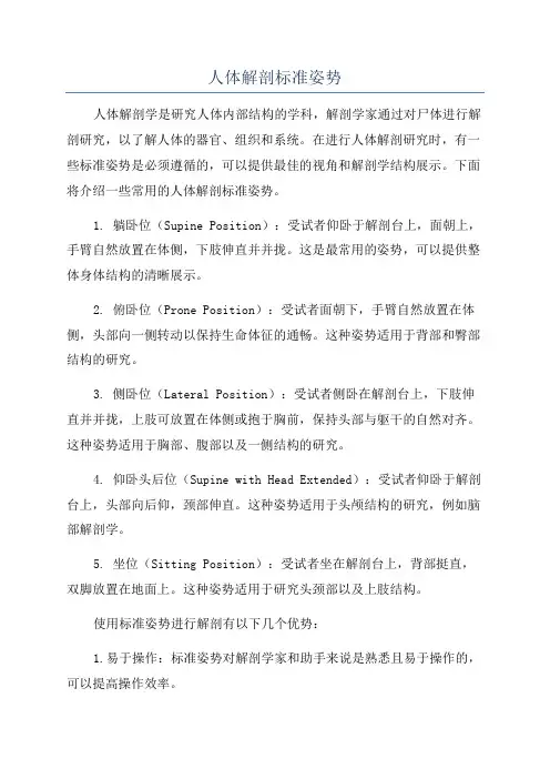 人体解剖标准姿势