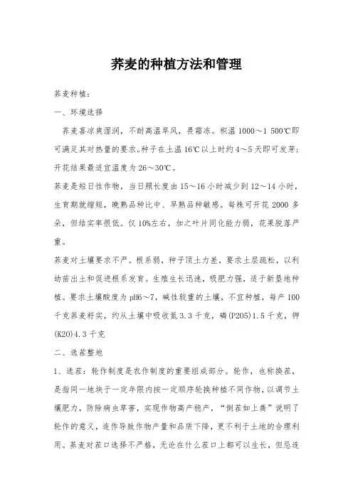 荞麦的种植方法和管理