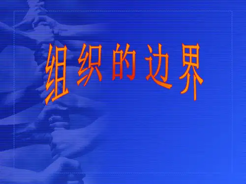 企业的边界