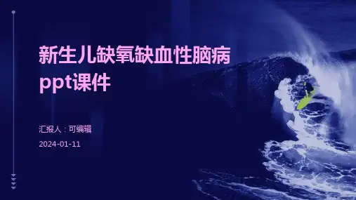 新生儿缺氧缺血性脑病ppt课件