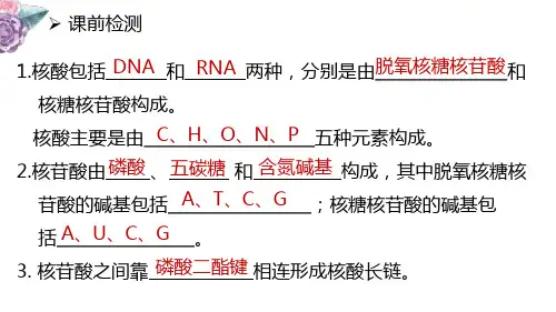 细胞膜的结构和功能ppt课件