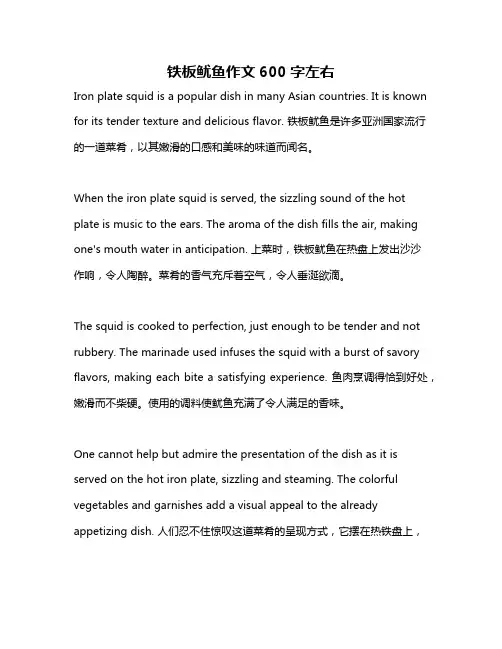 铁板鱿鱼作文600字左右