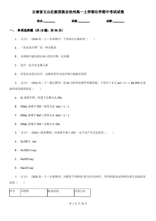 云南省文山壮族苗族自治州高一上学期化学期中考试试卷