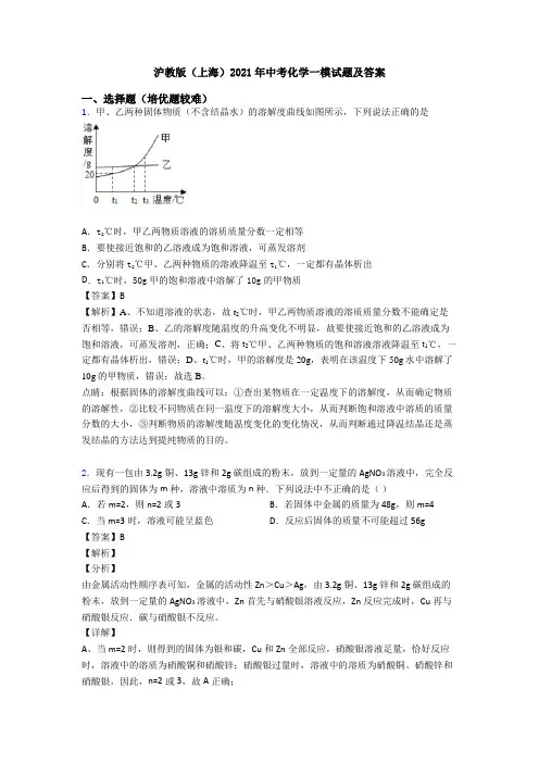 沪教版(上海)2021年中考化学一模试题及答案