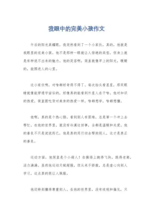 我眼中的完美小孩作文
