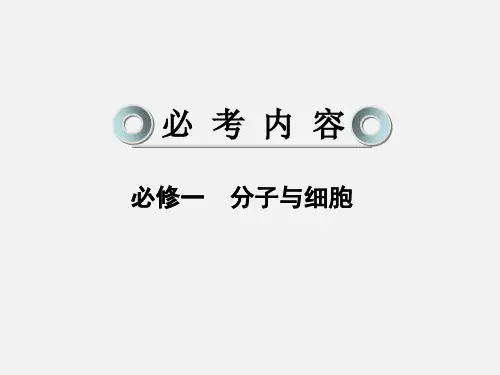 高考生物 一轮复习 4-1 细胞的增殖 新人教必修1