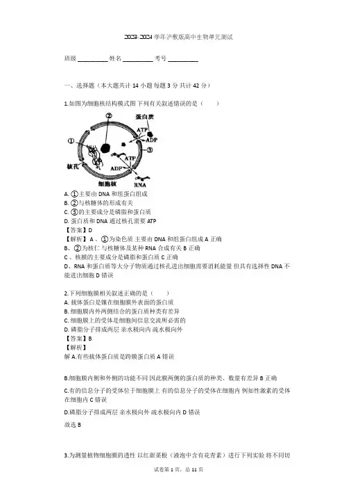 2023-2024学年高中生物沪教版高中第一册第3章 生命的结构基础单元测试(含答案解析)