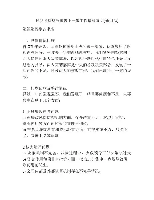 巡视巡察整改报告下一步工作措施范文(通用篇)