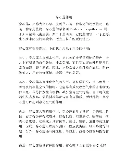 穿心莲作用