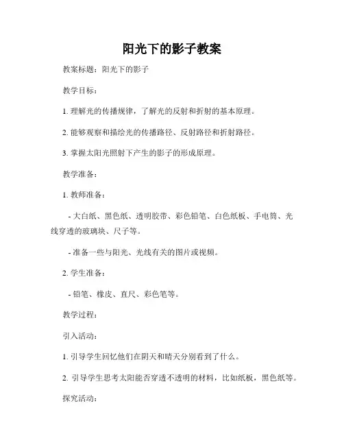 阳光下的影子教案