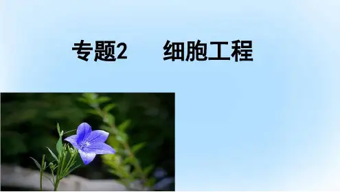 高中生物专题2细胞工程21植物细胞工程基本技术课件新人教选修3