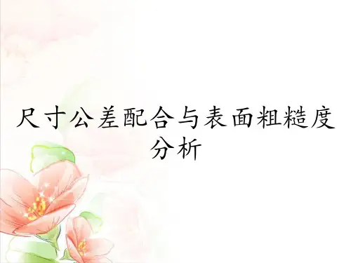 尺寸公差配合与表面粗糙度分析