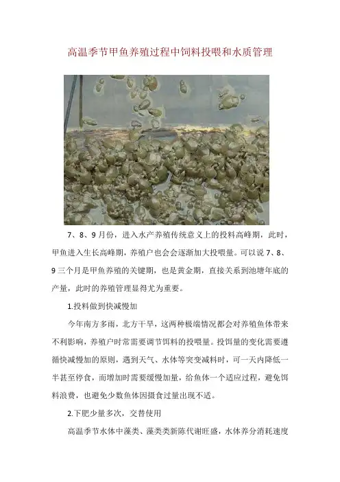 高温季节甲鱼养殖过程中饲料投喂和水质管理