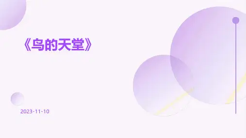 《鸟的天堂》