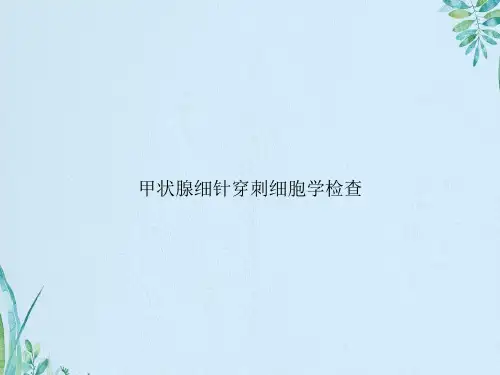 甲状腺细针穿刺细胞学检查