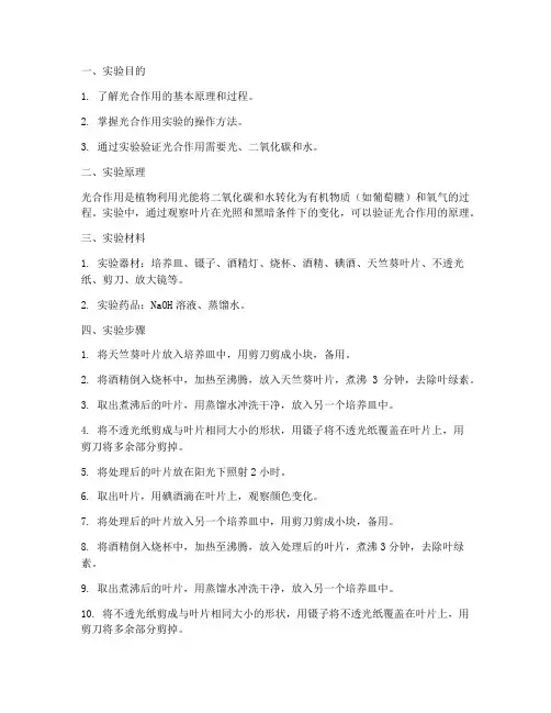 光合实验报告