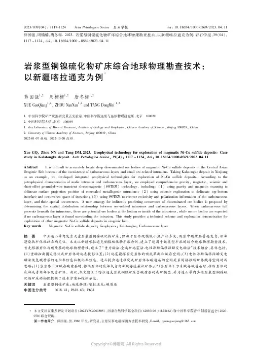 211061695_岩浆型铜镍硫化物矿床综合地球物理勘查技术：以新疆喀拉通克为例