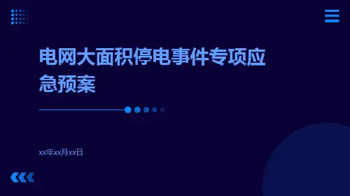 电网大面积停电事件专项应急预案