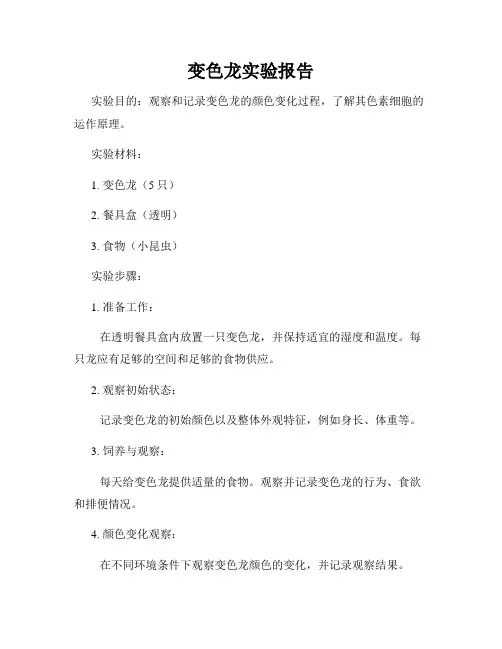 变色龙实验报告