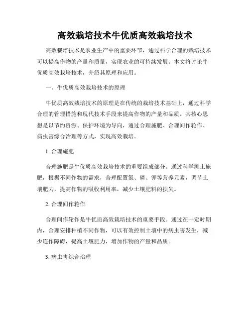 高效栽培技术牛优质高效栽培技术
