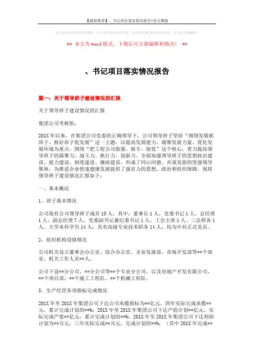 【最新推荐】、书记项目落实情况报告-范文模板 (13页)