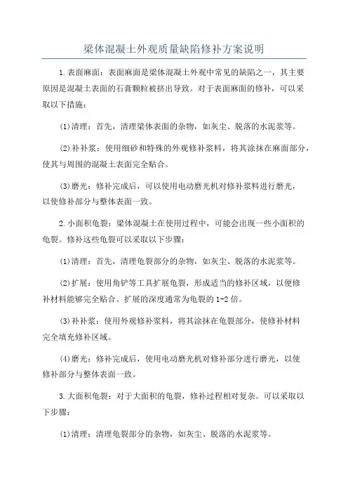 梁体混凝土外观质量缺陷修补方案说明