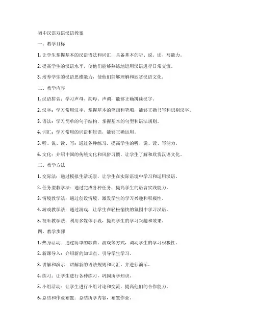 初中汉语双语汉语教案