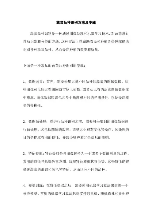 蔬菜品种识别方法及步骤