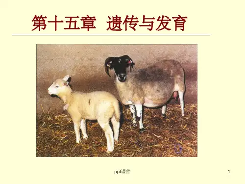 《遗传与发育》PPT课件