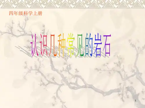 认识几种常见的岩石(课堂PPT)