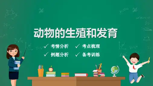 中考生物复习课件：动物的生殖和发育