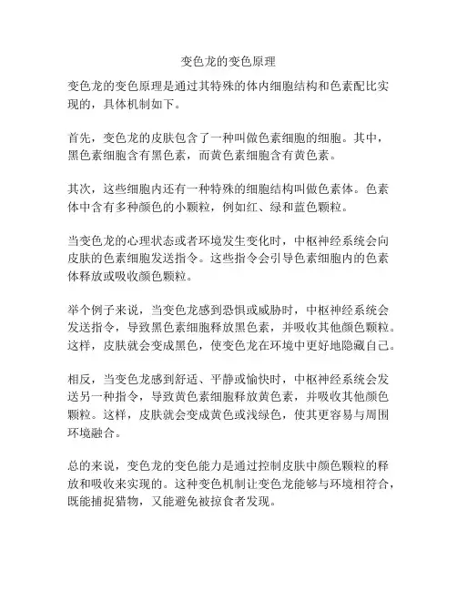 变色龙的变色原理