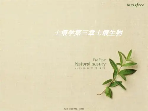 土壤学第三章土壤生物