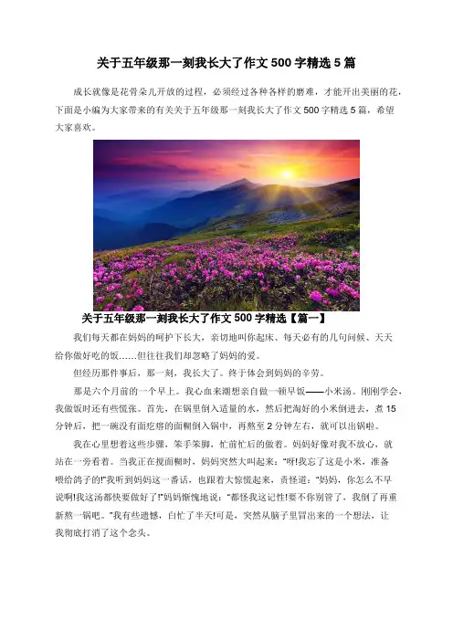 关于五年级那一刻我长大了作文500字精选5篇